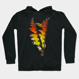 Flower Birds Bouquet Collage Hoodie